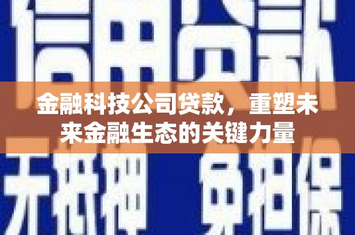 芦洲金融科技公司贷款，重塑未来金融生态的关键力量
