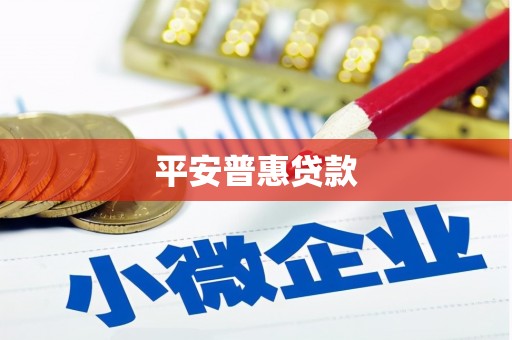 茂林平安普惠贷款