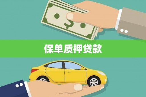 新店保单质押贷款