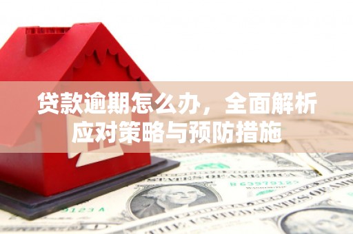 鱼池贷款逾期怎么办，全面解析应对策略与预防措施