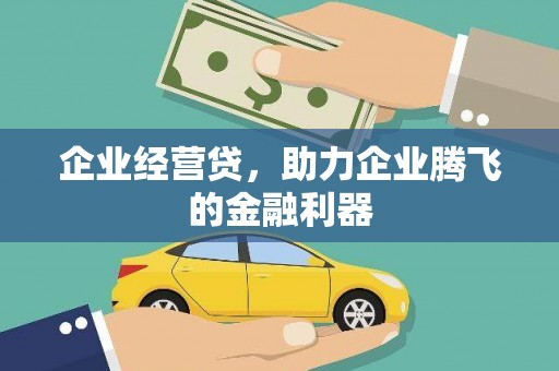 田林企业经营贷，助力企业腾飞的金融利器