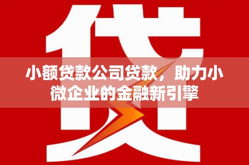 君山小额贷款公司贷款，助力小微企业的金融新引擎