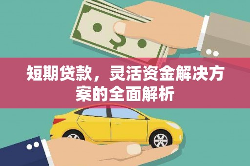集集短期贷款，灵活资金解决方案的全面解析