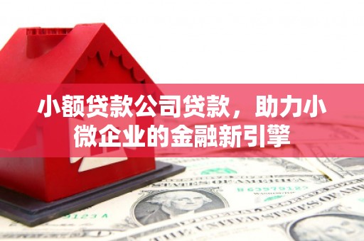 元谋小额贷款公司贷款，助力小微企业的金融新引擎