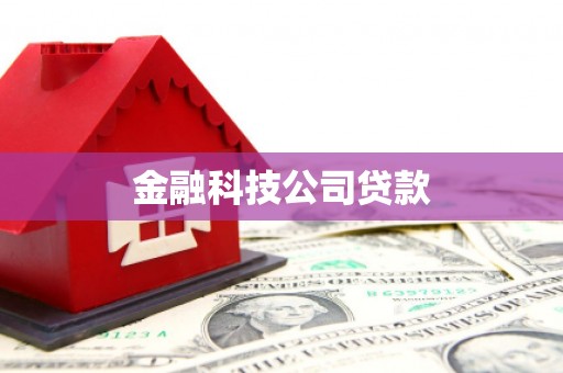 南港金融科技公司贷款