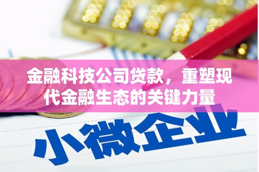 新化金融科技公司贷款，重塑现代金融生态的关键力量
