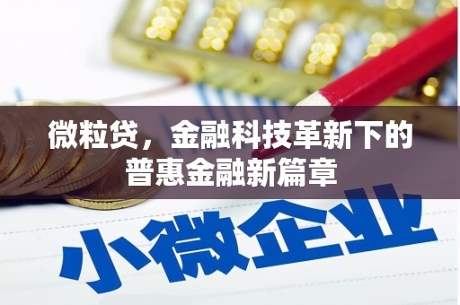 龙湖微粒贷，金融科技革新下的普惠金融新篇章