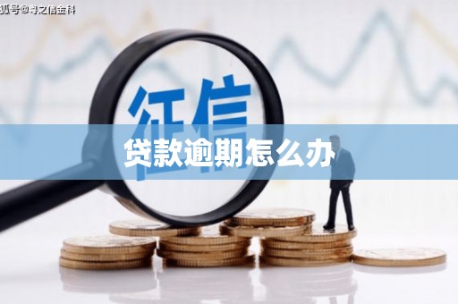 阳山贷款逾期怎么办