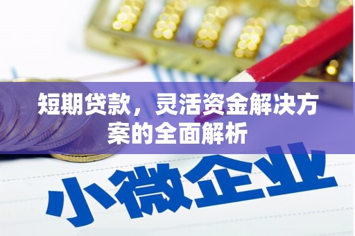 民丰短期贷款，灵活资金解决方案的全面解析