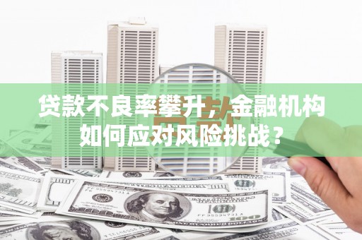 长垣贷款不良率攀升，金融机构如何应对风险挑战？