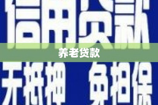 大武养老贷款