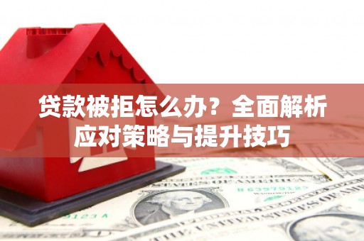 东乡族贷款被拒怎么办？全面解析应对策略与提升技巧