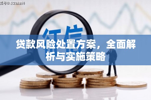 安陆贷款风险处置方案，全面解析与实施策略