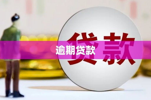 平陆逾期贷款