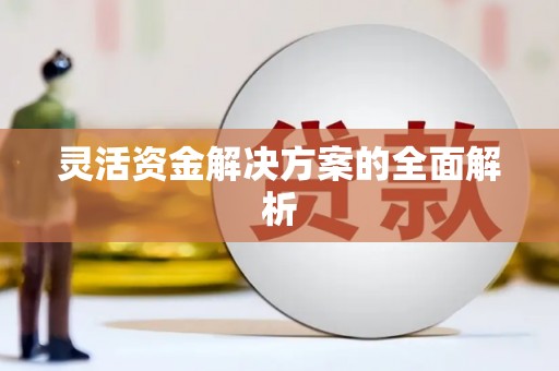 东方灵活资金解决方案的全面解析